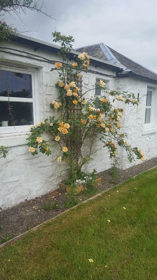 Barcloy Honey House Villa Kirkcudbright Exterior photo